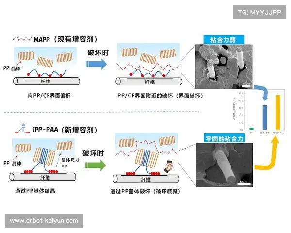 二手田径装备交易平台获千万融资 碳纤维回收成行业新亮点 二手田径装备交易平台获千万融资 碳纤维回收成行业新亮点