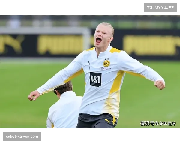 马塔拉佐三中卫体系稳固 霍芬海姆边翼卫前插成进攻主要手段